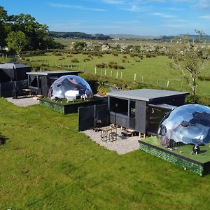 Glamping Domes